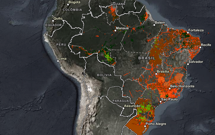 Ibama lança painel interativo de Autorizações de Exploração Florestal emitidas pelo Sinaflor