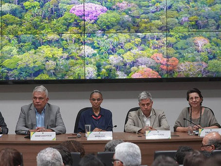 MMA, MDA e BNDES lançam edital de R$ 150 milhões para iniciativa “Restaura Amazônia”